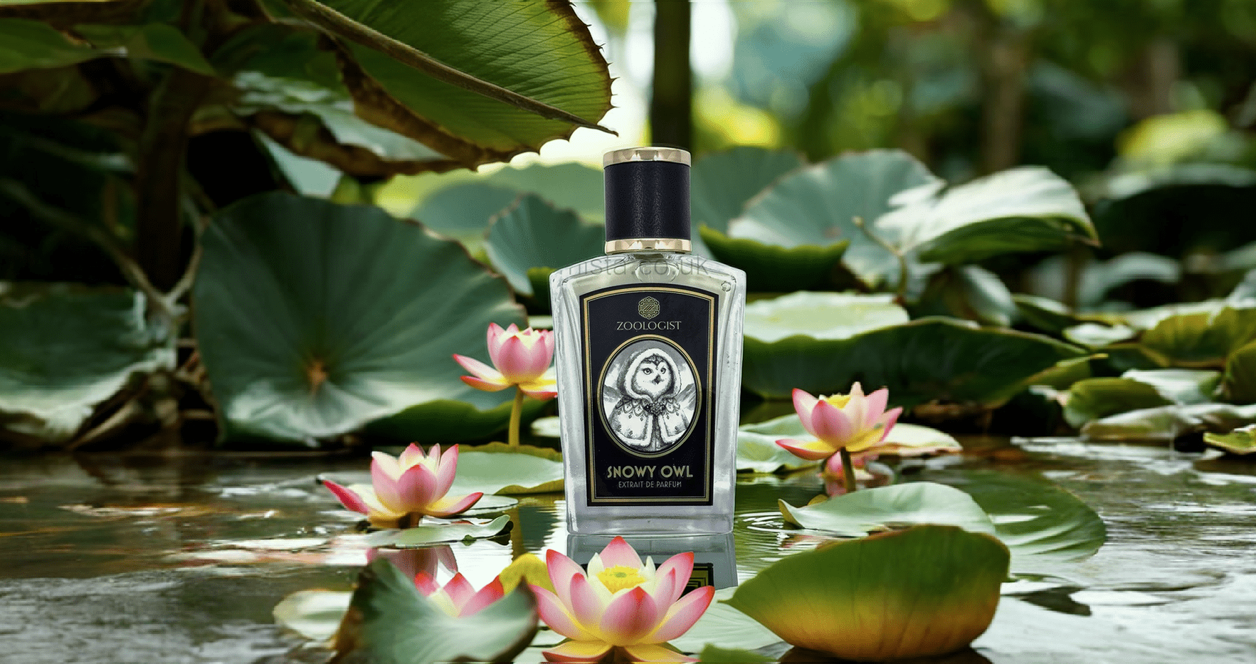 Zoologist Snowy Owl Extrait De Parfum Post image