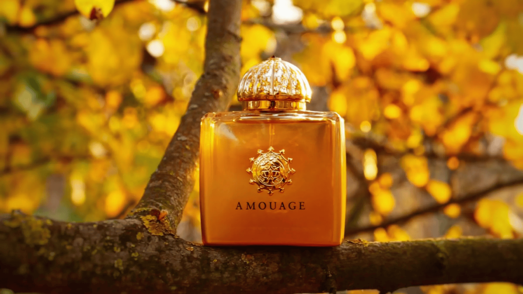 Amouage Ubar Woman EDP Post image