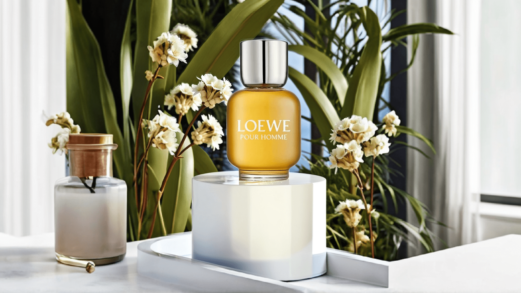 Loewe Loewe Pour Homme EDT Post image
