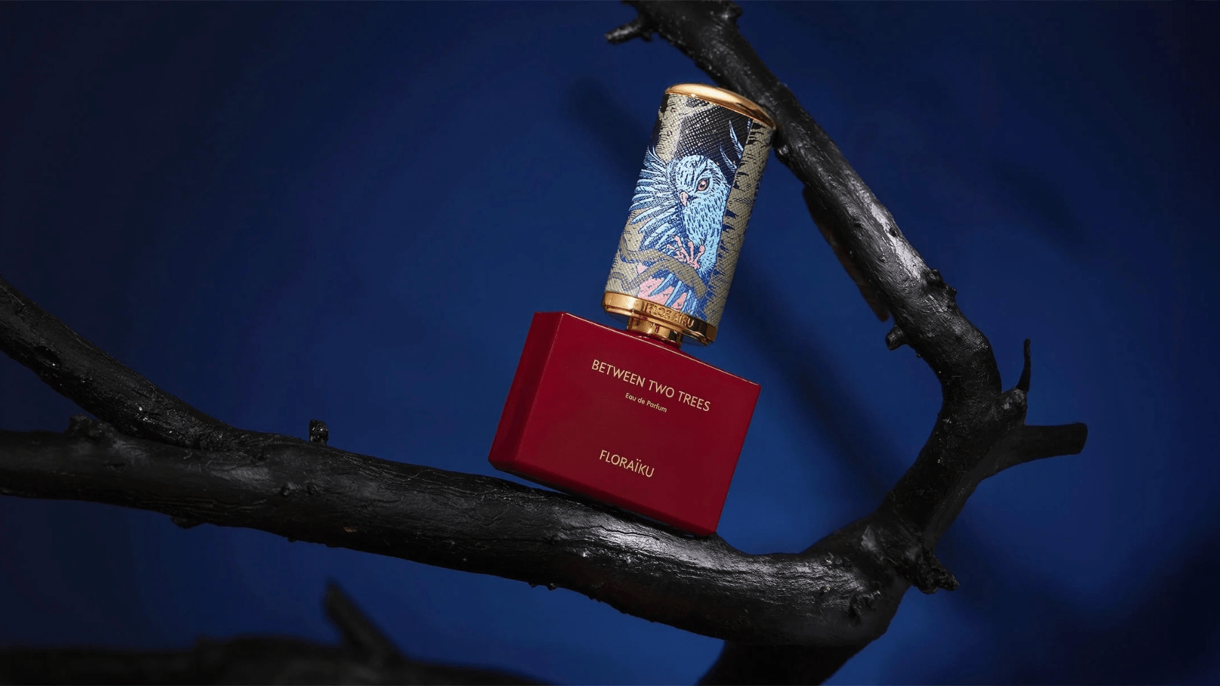 Floriaku - Between Two Trees EDP Post image