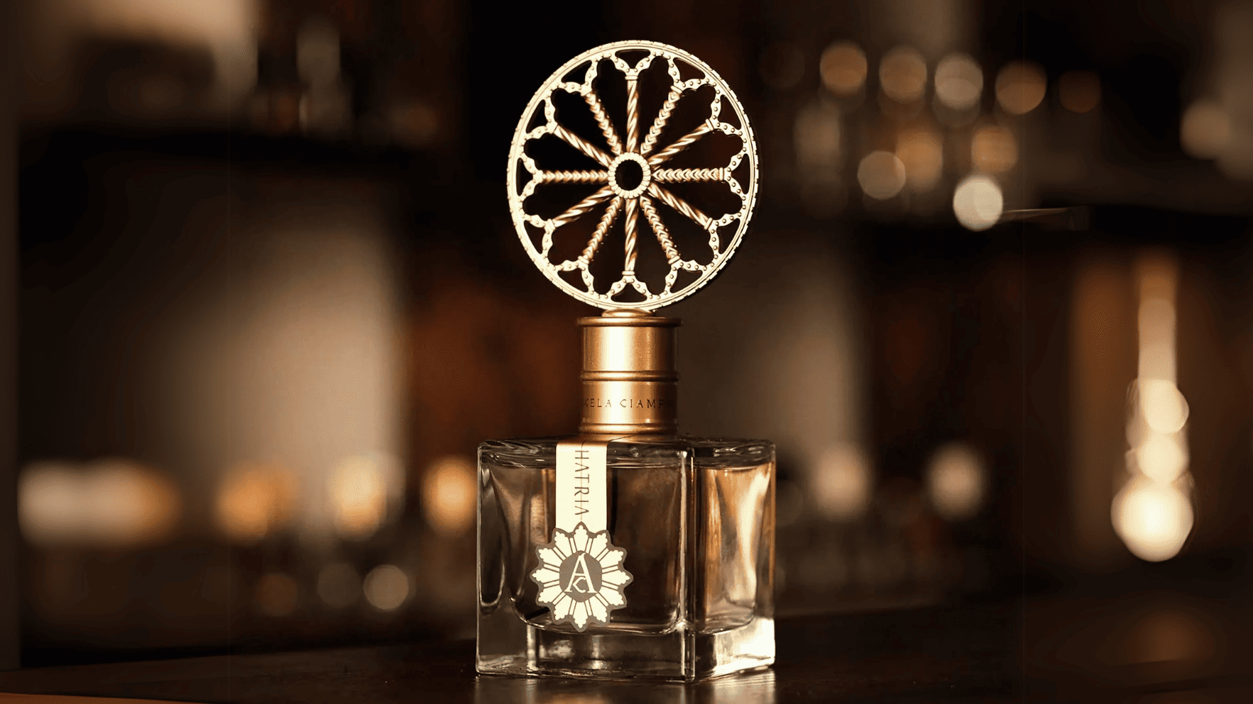 Angela Ciampagna Hatria EDP Feature image