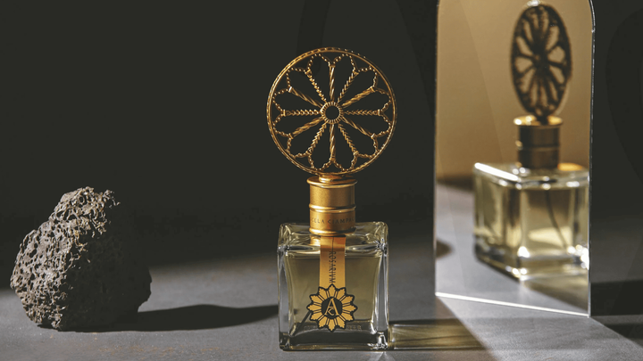 Angela Ciampagna Rosarium EDP Feature image
