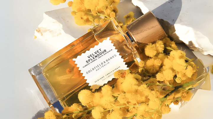 Goldfield & Banks Velvet Splendour EDP Feature image
